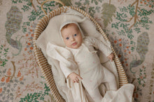 Load image into Gallery viewer, Ely's &amp; Co. Butterfly/Dragonfly 3 Pc Set - Ivory Pink